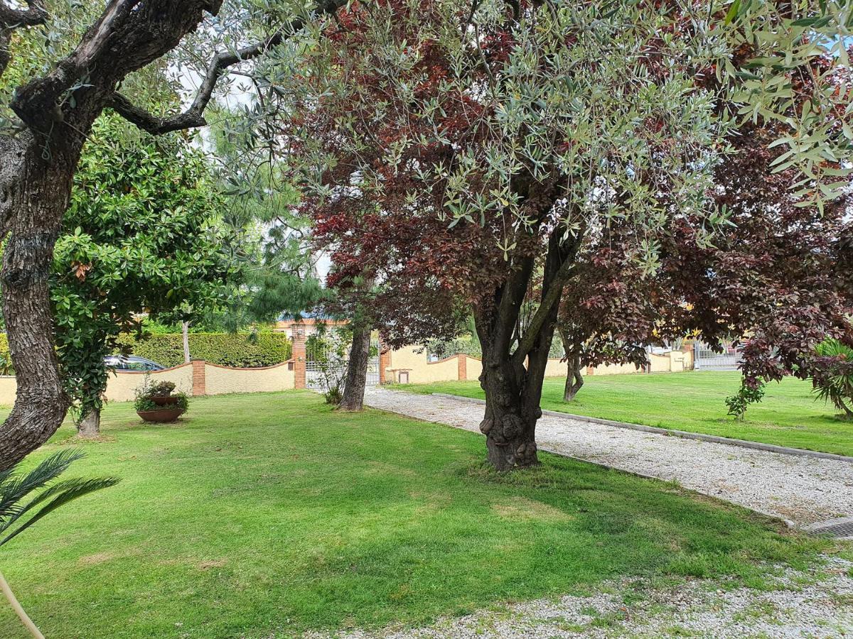 La Casetta Di Silvio Capezzano Pianore Bagian luar foto