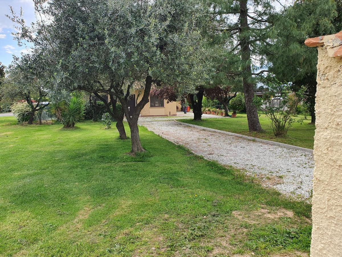 La Casetta Di Silvio Capezzano Pianore Bagian luar foto