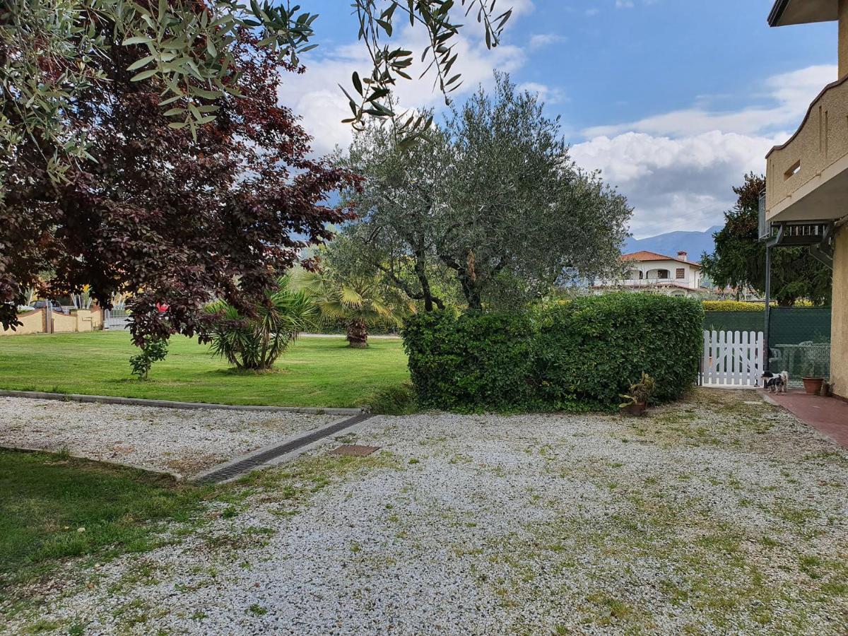 La Casetta Di Silvio Capezzano Pianore Bagian luar foto